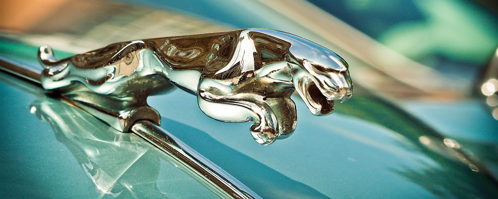 Jaguar